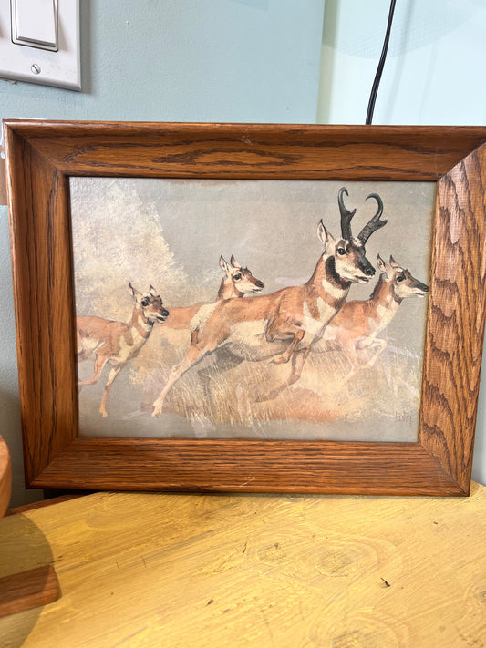 Vintage Pronghorn Antelope Art